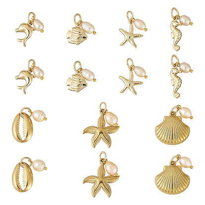 14 pièces 7 style 316 acier inoxydable chirurgical et 304 acier inoxydable avec pendentifs en perles de culture d'eau douce naturelles, avec 304 anneaux en acier inoxydable, breloques sur le thème de l'océan, formes mixtes