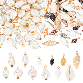120Pcs 12 Styles Acrylic Imitation Pearl & Natural Mixed Shell Pendants & Links Findings Kits