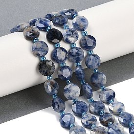 Natural Blue Spot Jasper Beads Strands, Faceted Pentagonal Cut, Flat Round, with Seed Beads