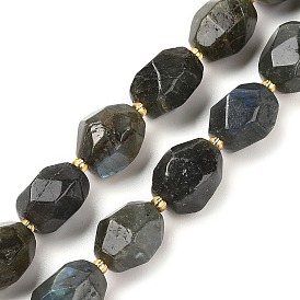 Natural Labradorite Beads Strands, Faceted, Oval, with Seed Beads