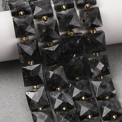 Натуральные нити бус из ларвикита, граненые, квадратный, с бисером