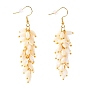 Natural Trochid Shell/Trochus Shell Cluster Earrings, Dangle Earrings, with Golden Plated Brass Earring Hooks