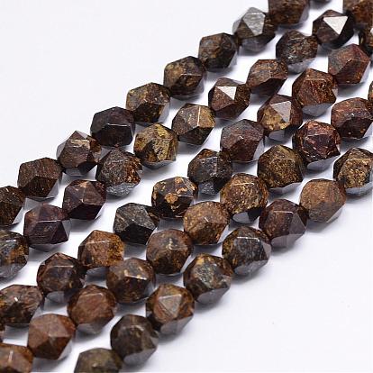 Natural Bronzite Beads Strands, Star Cut Round Beads, Faceted