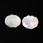 Natural White Shell Carved Cabochons, Flower