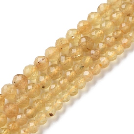 Natural Yellow Apatite Beads Strands, Faceted, Round