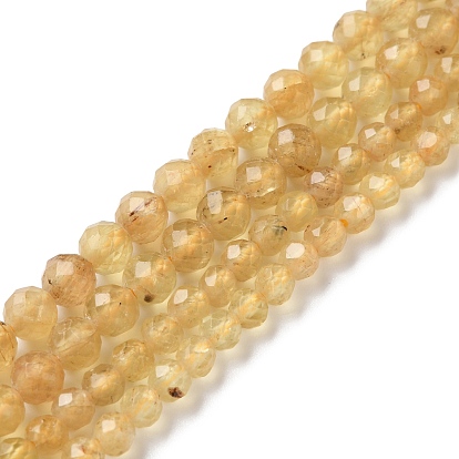 Natural Yellow Apatite Beads Strands, Faceted, Round