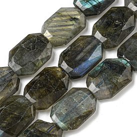 Natural Labradorite Beads Strands, Hexagon, Faceted