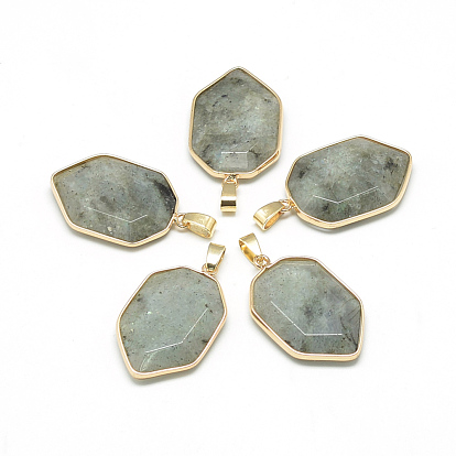 Natural Gemstone Pendants, with Brass Findings, Faceted, Nuggets