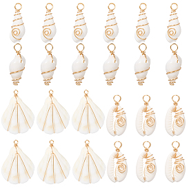 24 шт. 4 стили подвесок из натуральных ракушек, с петлями из медной проволоки