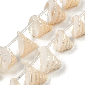 Natural Shell Beads Strands, Circular Cone