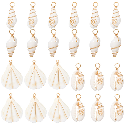 24 шт. 4 стили подвесок из натуральных ракушек, с петлями из медной проволоки