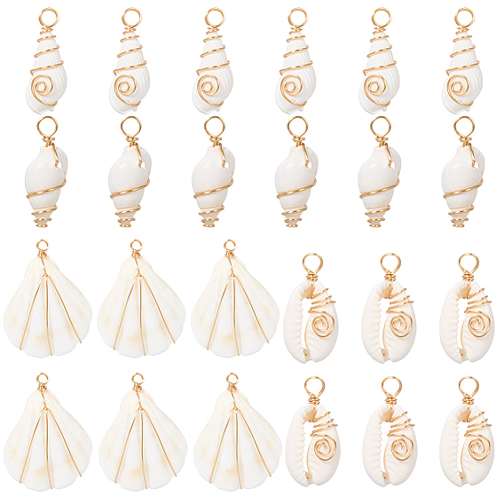24 шт. 4 стили подвесок из натуральных ракушек, с петлями из медной проволоки