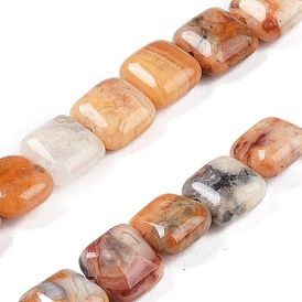 Natural Crazy Lace Agate Beads Strands, Square