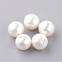 Natural Sea Shell Beads, Half Drilled, Round