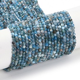 Natural Apatite Beads Strands, Faceted, Round