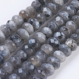 Natural Larvikite Beads Strands, Faceted, Rondelle