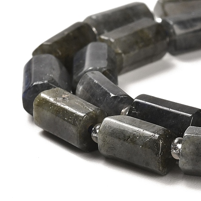 Natural Larvikite Beads Strands, with Seed Beads, Faceted, Column
