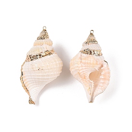 Natural Conch Shell Big Pendants, Shell Shaped Charms with Golden Tone Iron Loops