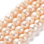Natural Cultured Freshwater Pearl Beads Strands, Potato, Grade AB