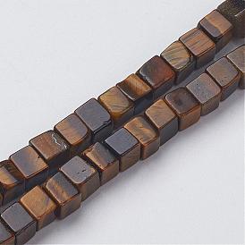 Natural Tiger Eye Beads Strands, Cube