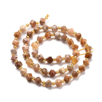 Natural Fossil Coral Beads Strands, with Seed Beads, Faceted, Diagonal cube beads