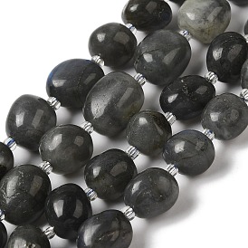 Natural Larvikite Beads Strands, with Seed Beads, Nuggets, Tumbled Stone