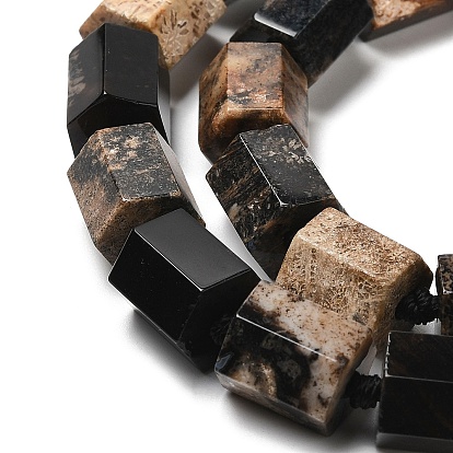 Natural Fossil Coral Beads Strands, Hexagon