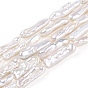 Brins de perles de keshi naturelles baroques, perle d'eau douce, forme de bâton