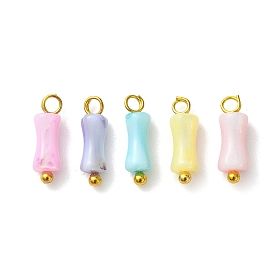 Подвески из натуральных пресноводных ракушек, окрашенных в радужные цвета., бамбуковые подвески с латунными петлями, золотые