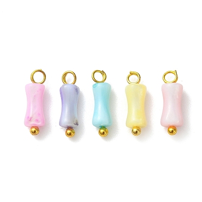 Подвески из натуральных пресноводных ракушек, окрашенных в радужные цвета., бамбуковые подвески с латунными петлями, золотые