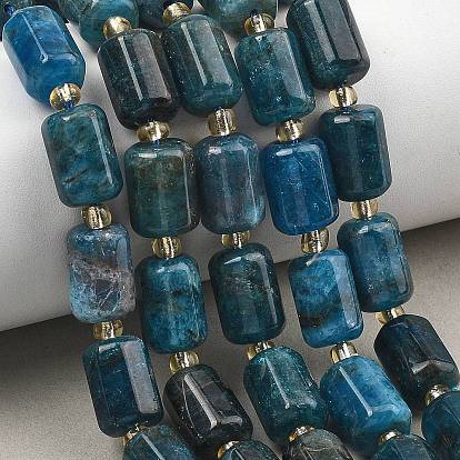 Natural Apatite Beads Strands, Faceted, Column, with Seed Beads