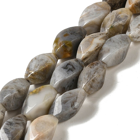 Natural Bamboo Leaf Agate Beads Strands, Twist