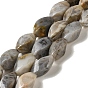 Natural Bamboo Leaf Agate Beads Strands, Twist