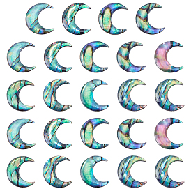 24шт. пластиковые кабошоны, луна, с использованием бумаги и картона с изображением морского ушка и искусственной нефритовой смолы.