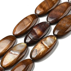 Dyed Natural Freshwater Shell Beads Strands, Oval