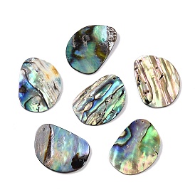 Natural Paua Shell Pendants, Nuggets Charms