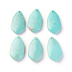 Natural Howlite Pendants, Dyed, Teardrop