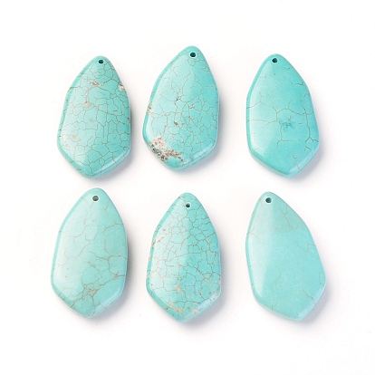 Natural Howlite Pendants, Dyed, Teardrop