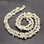 Natural White Mother of Pearl Shell Chip Bead Strands, Shell Shards, 5~8x5~8mm, Hole: 1mm, about 31.5 inch