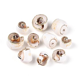 Подвески из натуральных морских ракушек, покрытые гальваническим способом, подвески в форме ракушек, с железными петлями и латунной фурнитурой, золотые