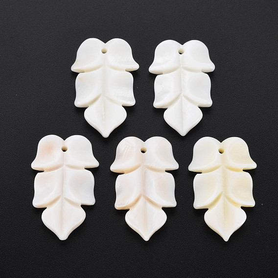 Natural Freshwater Shell Beads, Undyed, Leaf