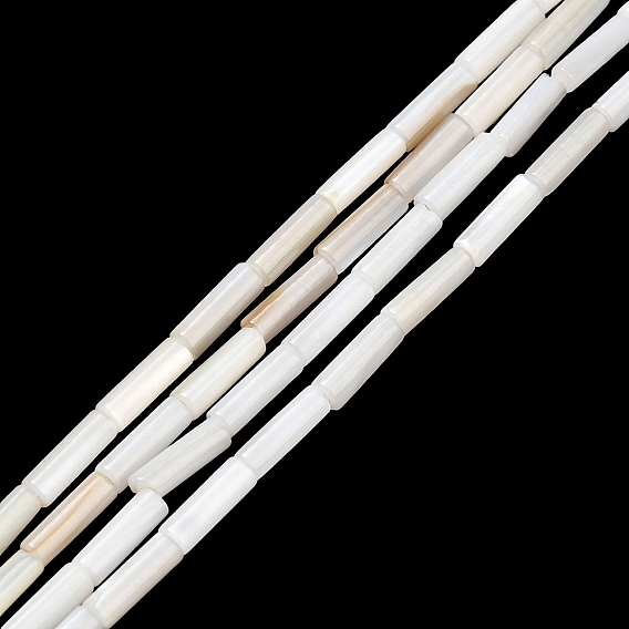 Cuentas de concha de perla natural hebras, columna