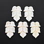 Natural Freshwater Shell Beads, Undyed, Leaf