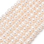 Natural Cultured Freshwater Pearl Beads Strands, Potato