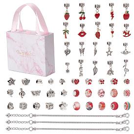 DIY Bracelets Making Kit, Including 20Pcs Alloy & 2Pcs 304 Stainless Steel & 18Pcs Resin European Beads, 20Pcs Alloy European Dangle Charms, 3Pcs Brass Bracelet Making, 1Pc Paper Boxs