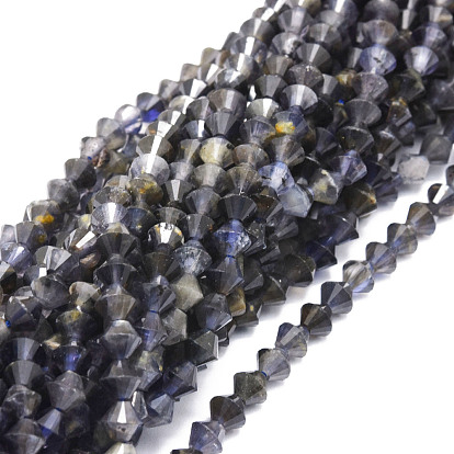 Natural Iolite Beads Strands, Faceted, Bicone