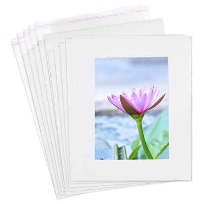 Olycraft DIY Craft Tools Kits, with OPP Cellophane Packaging Bags and Card Paper Picture Mats,