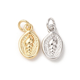 Латунные подвески, раковины прелести, без кадмия и без свинца, стойки покрытие, долговечный, с целью перехода в кольце