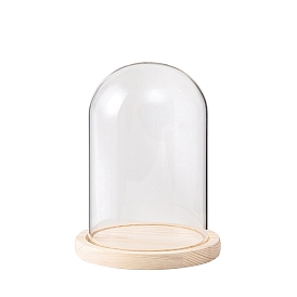 Arch Glass Dome Cover, Decorative Display Case, Cloche Bell Jar Terrarium with Wood Base