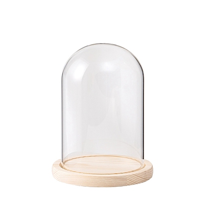 Стеклянный купол арки, декоративная витрина, колокол баночка террариум с деревянной основой